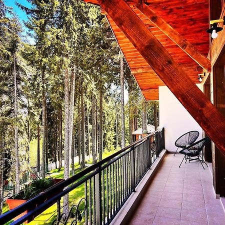 Boutique Villas Murgavets Пампорово Экстерьер фото